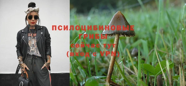 прущие крисы Пролетарск